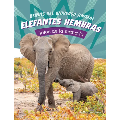 Elefantes Hembras: Jefas de la Manada (Elephant Cows: Heads of the Herd)