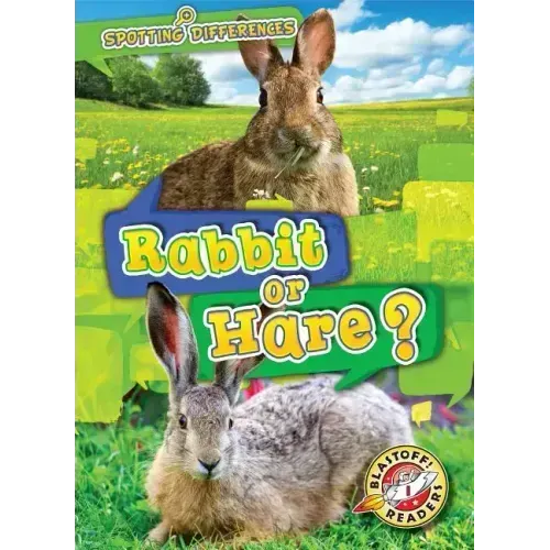 Rabbit or Hare?