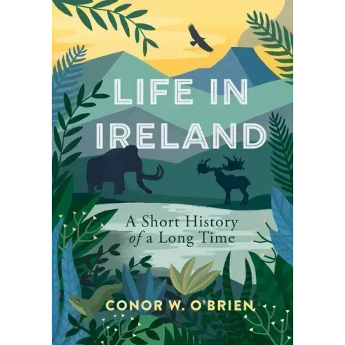 Life in Ireland: A Short History of a Long Time