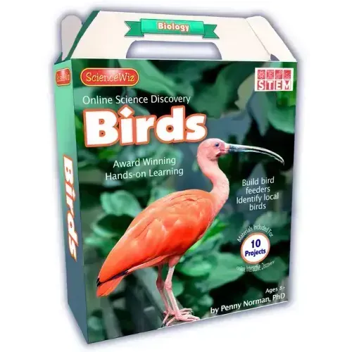 Online Discovery Birds