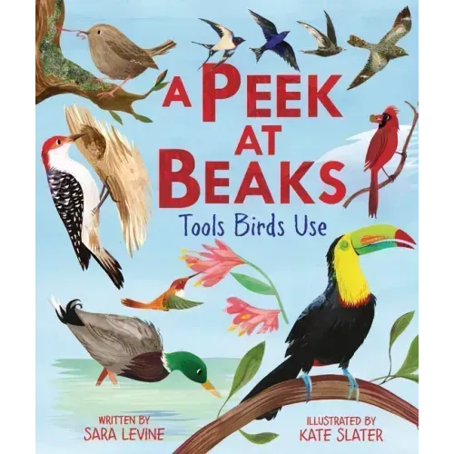 A Peek at Beaks: Tools Birds Use