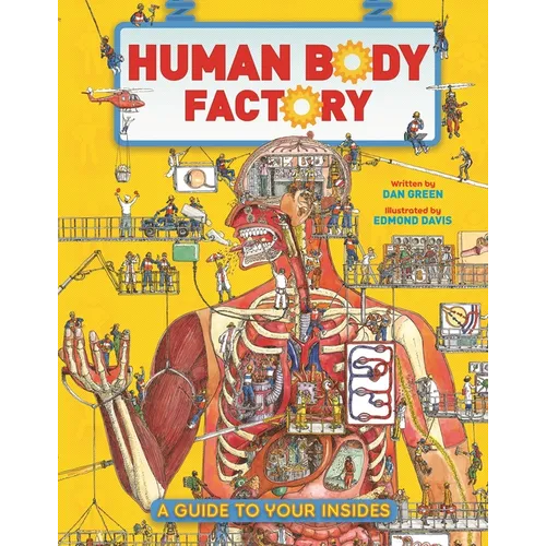 The Human Body Factory: A Guide to Your Insides
