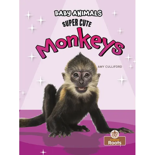 Super Cute Monkeys