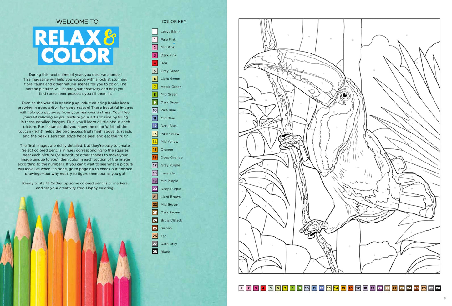 Relax and Color - Beautiful and Inspiring Coloring Book: Relax and Get Away From Stress with 32 Intricate Amazing Designs