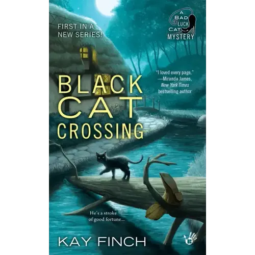 Black Cat Crossing