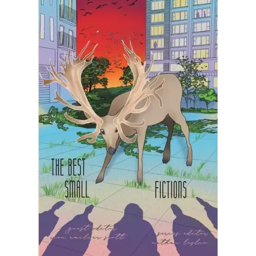 The Best Small Fictions Anthology 2021