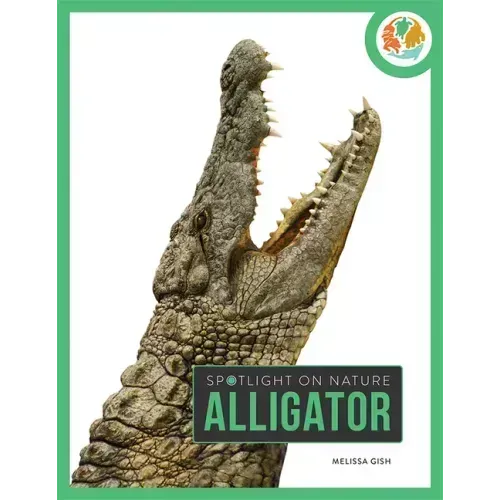 Alligator