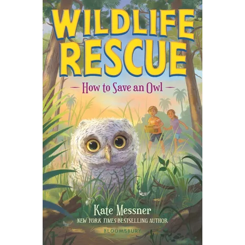How to Save an Owl