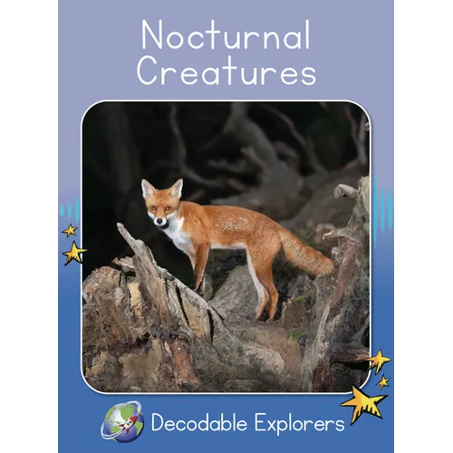 Nocturnal Creatures: Skills Set 8