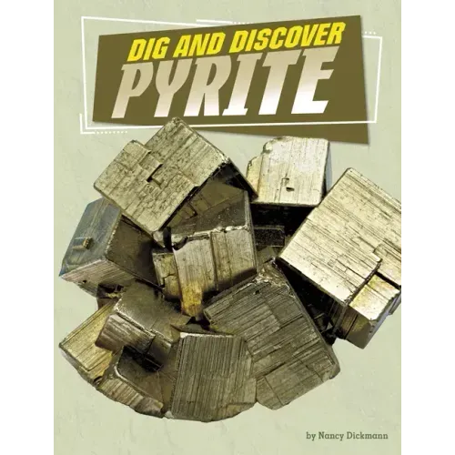 Dig and Discover Pyrite