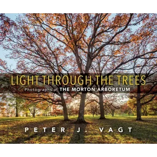 Light Through the Trees: Photographs at the Morton Arboretum