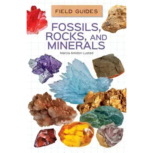 Fossils, Rocks, and Minerals