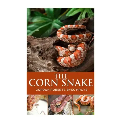 The Corn Snake
