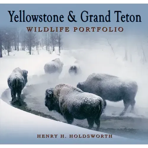 Yellowstone & Grand Teton Wildlife Portfolio (Sc)