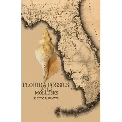 Florida Fossils: Mollusks