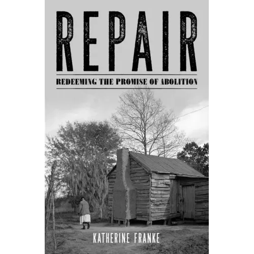 Repair: Redeeming the Promise of Abolition