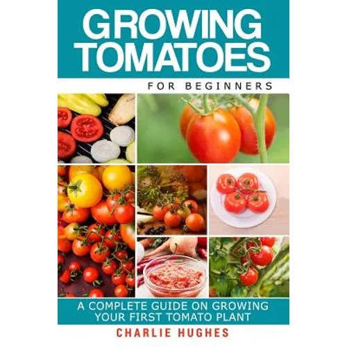Growing Tomatoes for Beginners: A Complete Guide on Growing Your First Tomato Plant