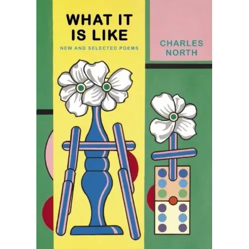What It Is Like: New and Selected Poems
