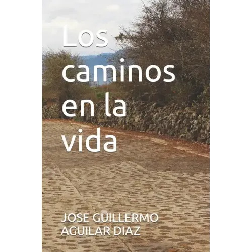 Los caminos en la vida