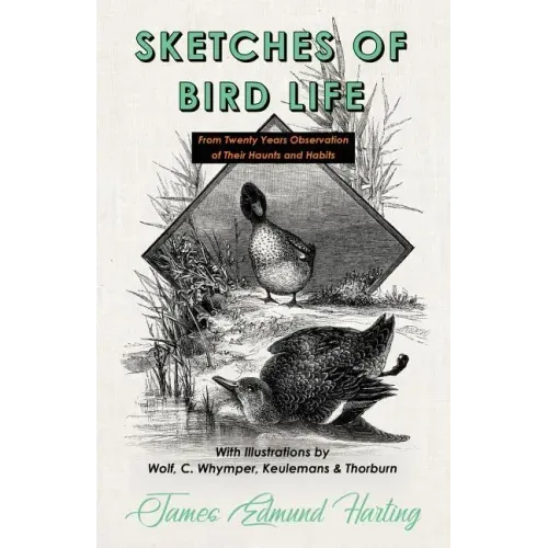 Sketches of Bird Life - From Twenty Years Observation of Their Haunts and Habits - With Illustrations by Wolf, C. Whymper, Keulemans, and Thorburn