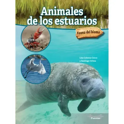 Animales de Los Estuarios: Estuary Animals
