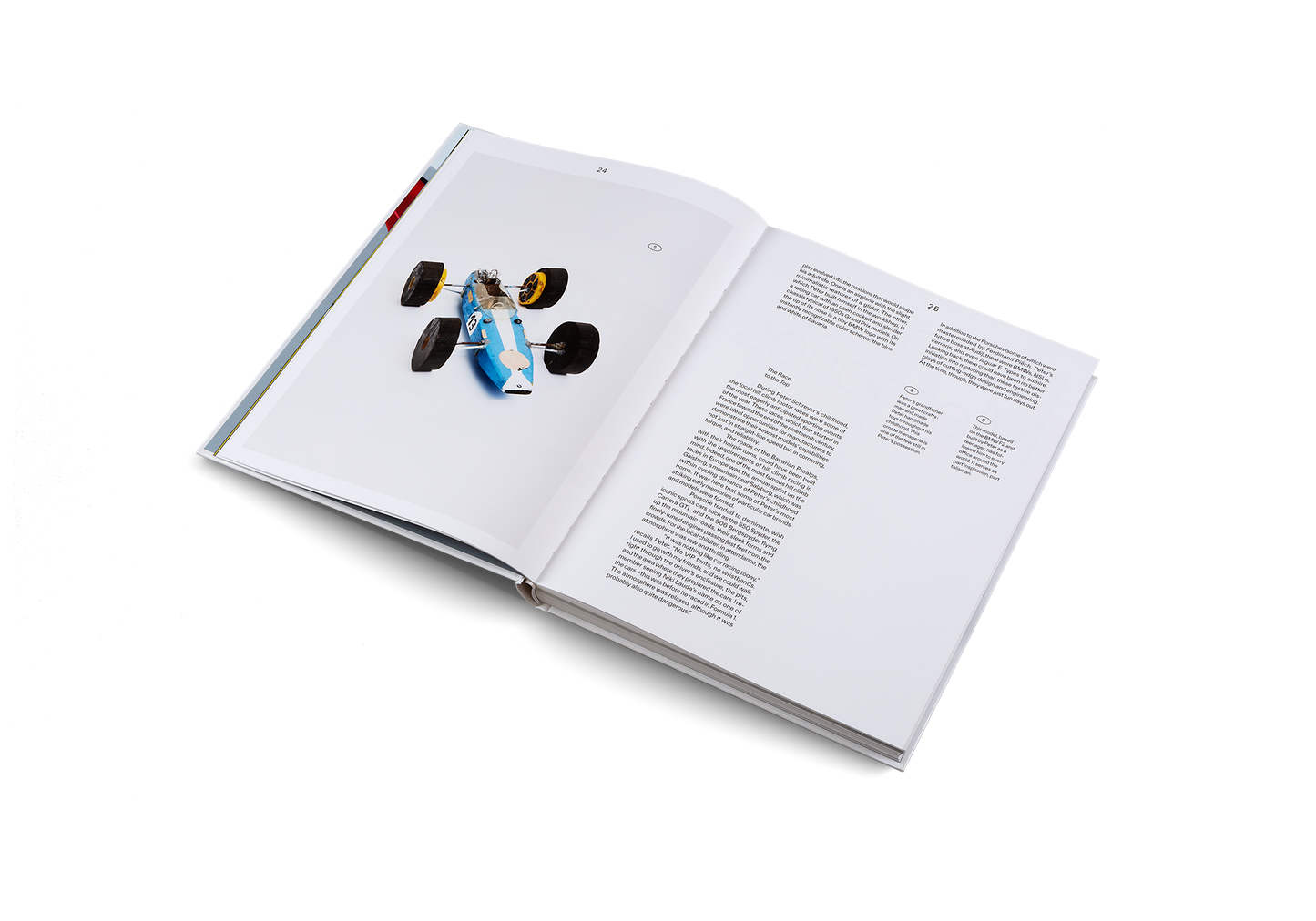 Roots and Wings Book