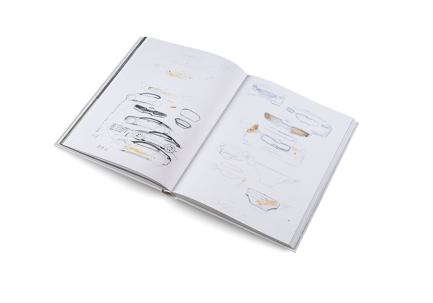 Roots and Wings Book