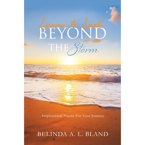 Learn to Look Beyond The Storm