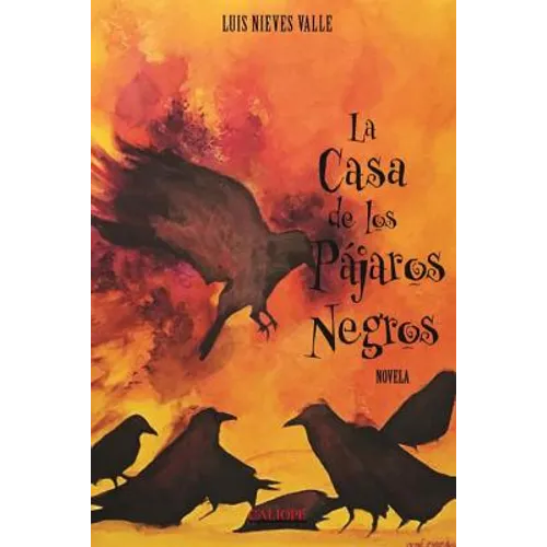 La casa de los pajaros negros