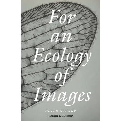For an Ecology of Images