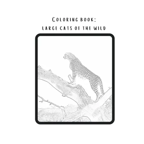 Coloring book: Large cats of the wild: Real pictures of wild animals transferred into magnificent coloring pages. from newbie to intermediate.