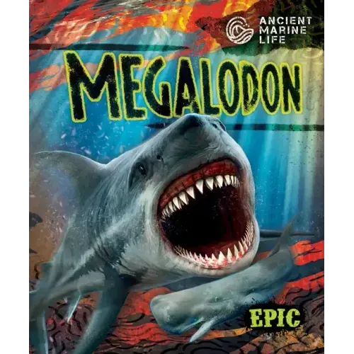 Megalodon