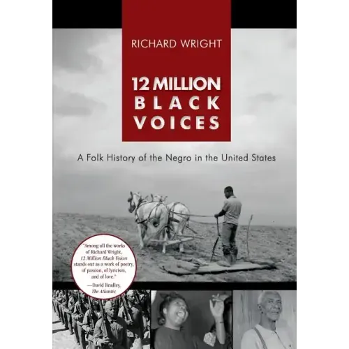 12 Million Black Voices