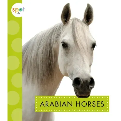 Arabian Horses