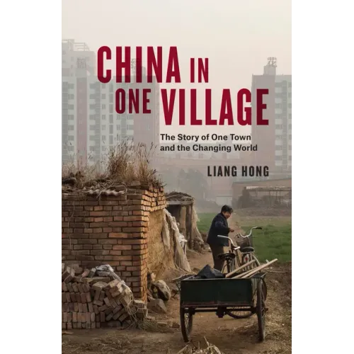 China in One Village: The Story of One Town and the Changing World