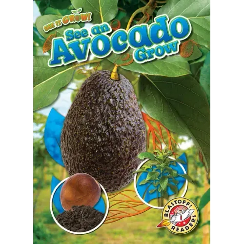 See an Avocado Grow