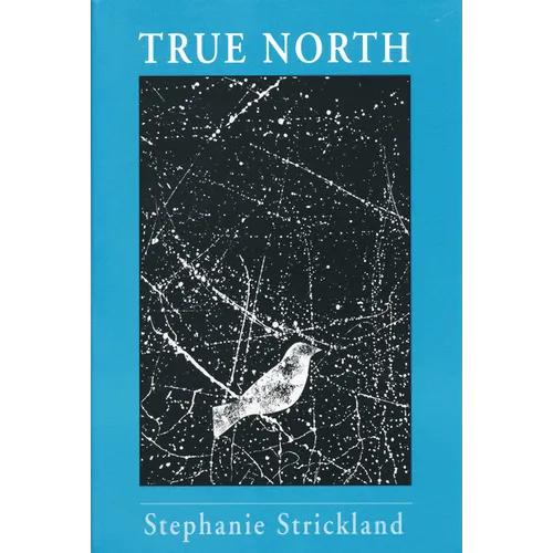 True North