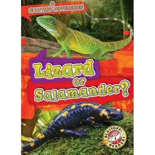 Lizard or Salamander?