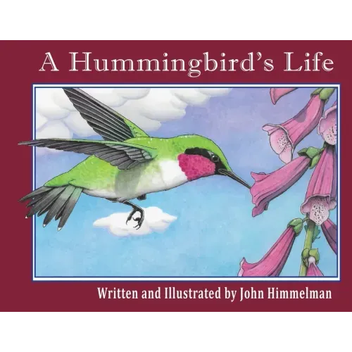 A Hummingbird's Life