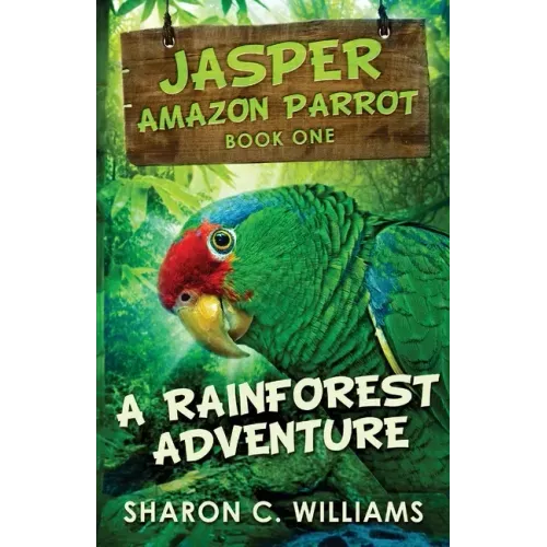 A Rainforest Adventure