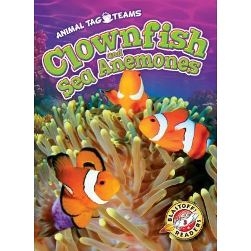 Clownfish and Sea Anemones