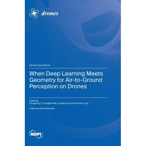 When Deep Learning Meets Geometry for Air-to-Ground Perception on Drones