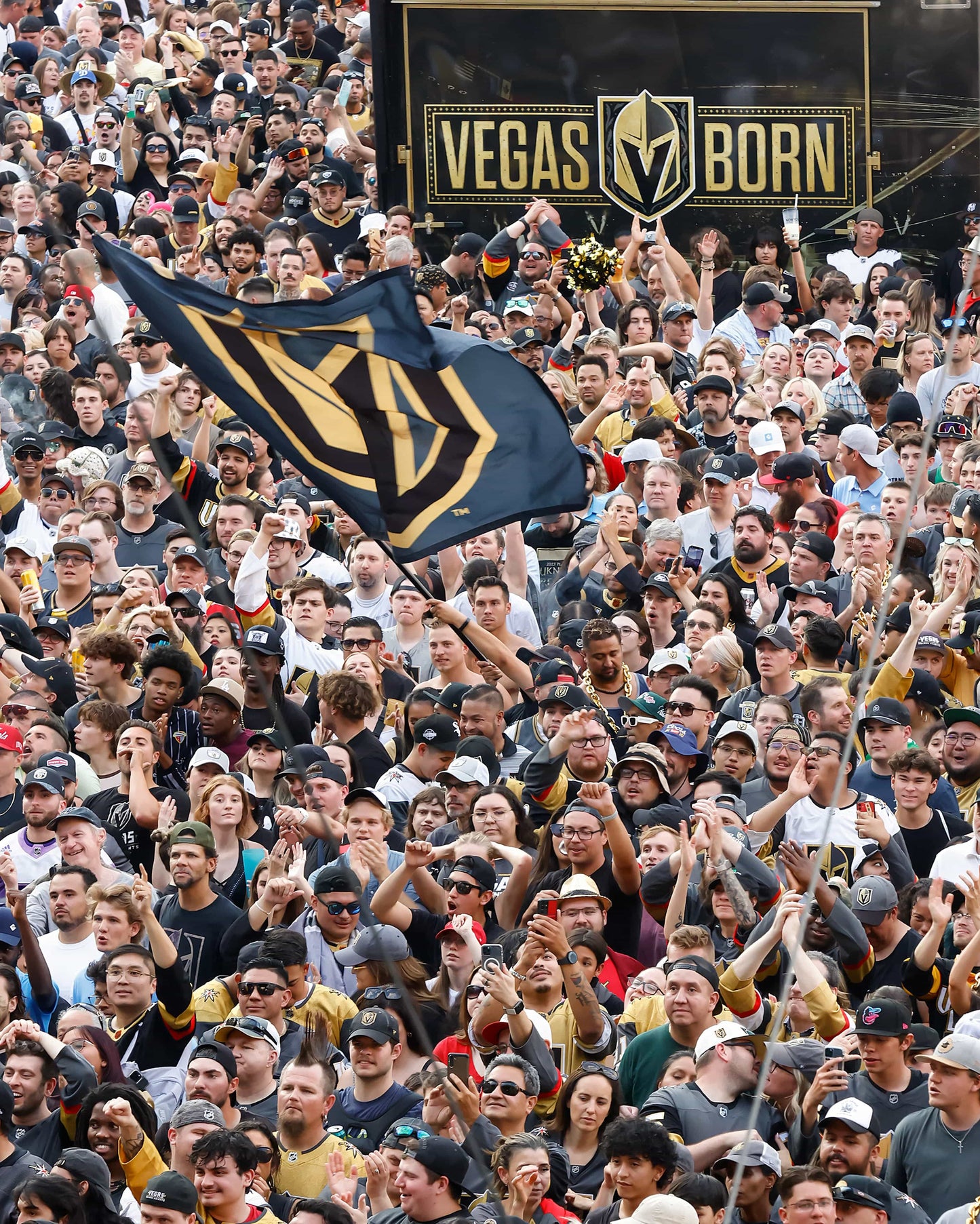 GOLDEN! The Story of the Vegas Golden Knights’ Stanley Cup Season Book