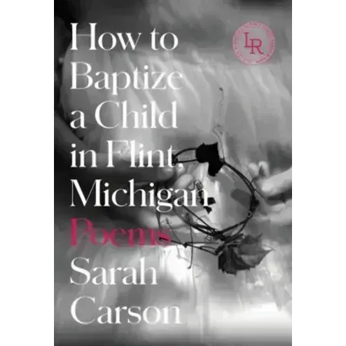 How to Baptize a Child in Flint, Michigan: Poems