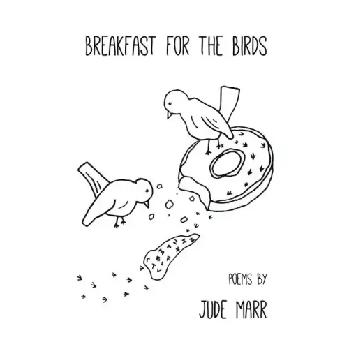 Breakfast for the Birds