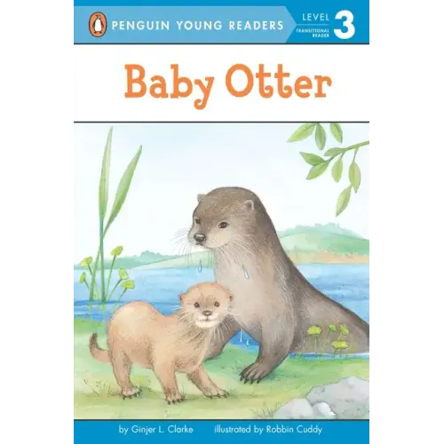 Baby Otter