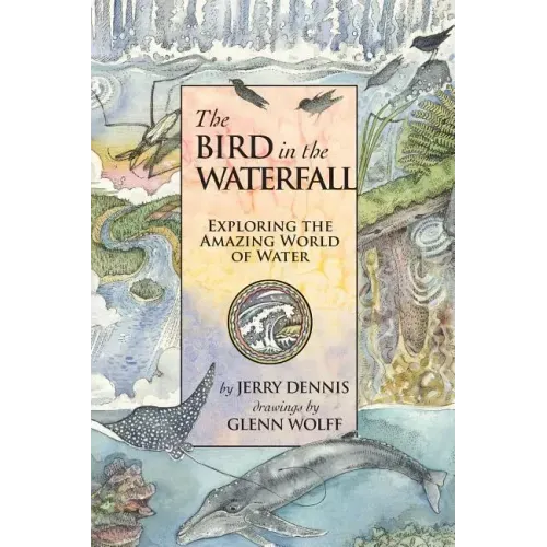 The Bird in the Waterfall: Exploring the Wonders of Water