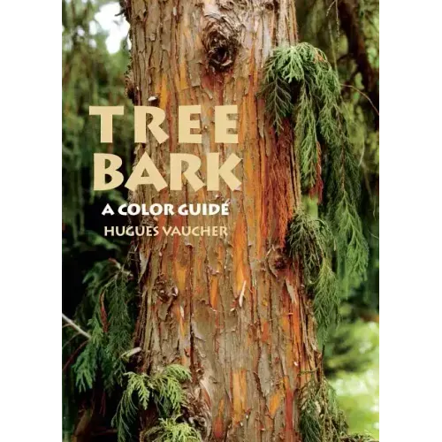 Tree Bark: A Color Guide