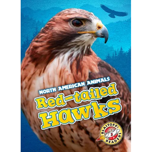 Red-Tailed Hawks