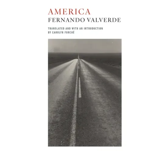 America: Bilingual Edition